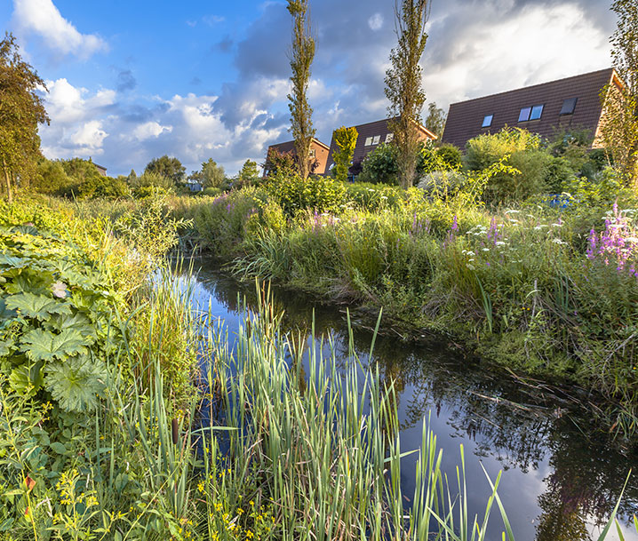 préserver la biodiversité